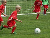 U7 U8 Turnier 13052017 (11)